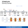 zonesun production line