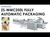 ZONESUN ZS-WMC250L Automatic Horizontal Flow Wrapping Machine